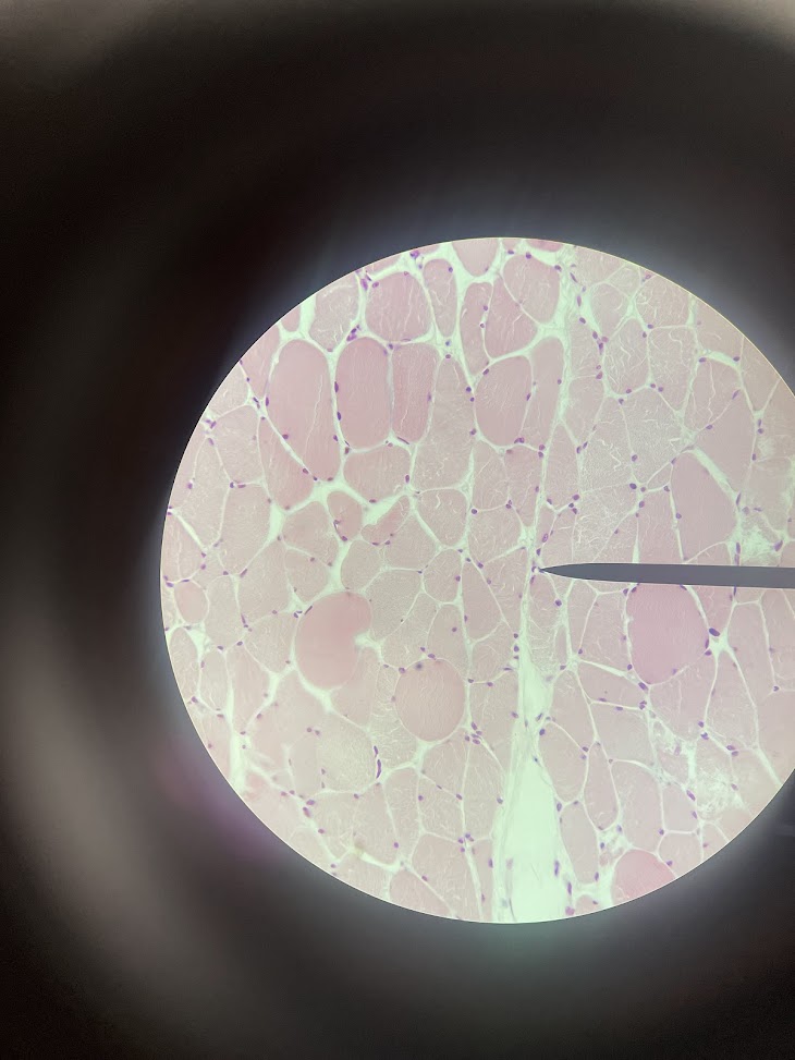 <p>structure name</p>