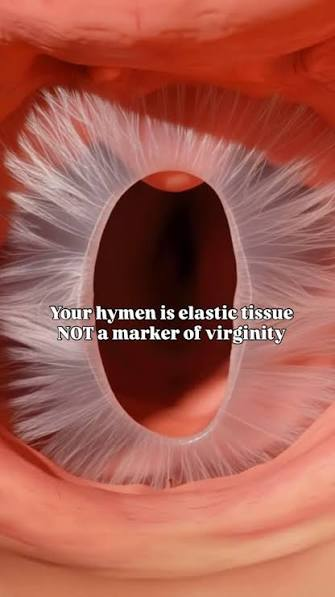 <p>the hymen - a membranous fold</p>