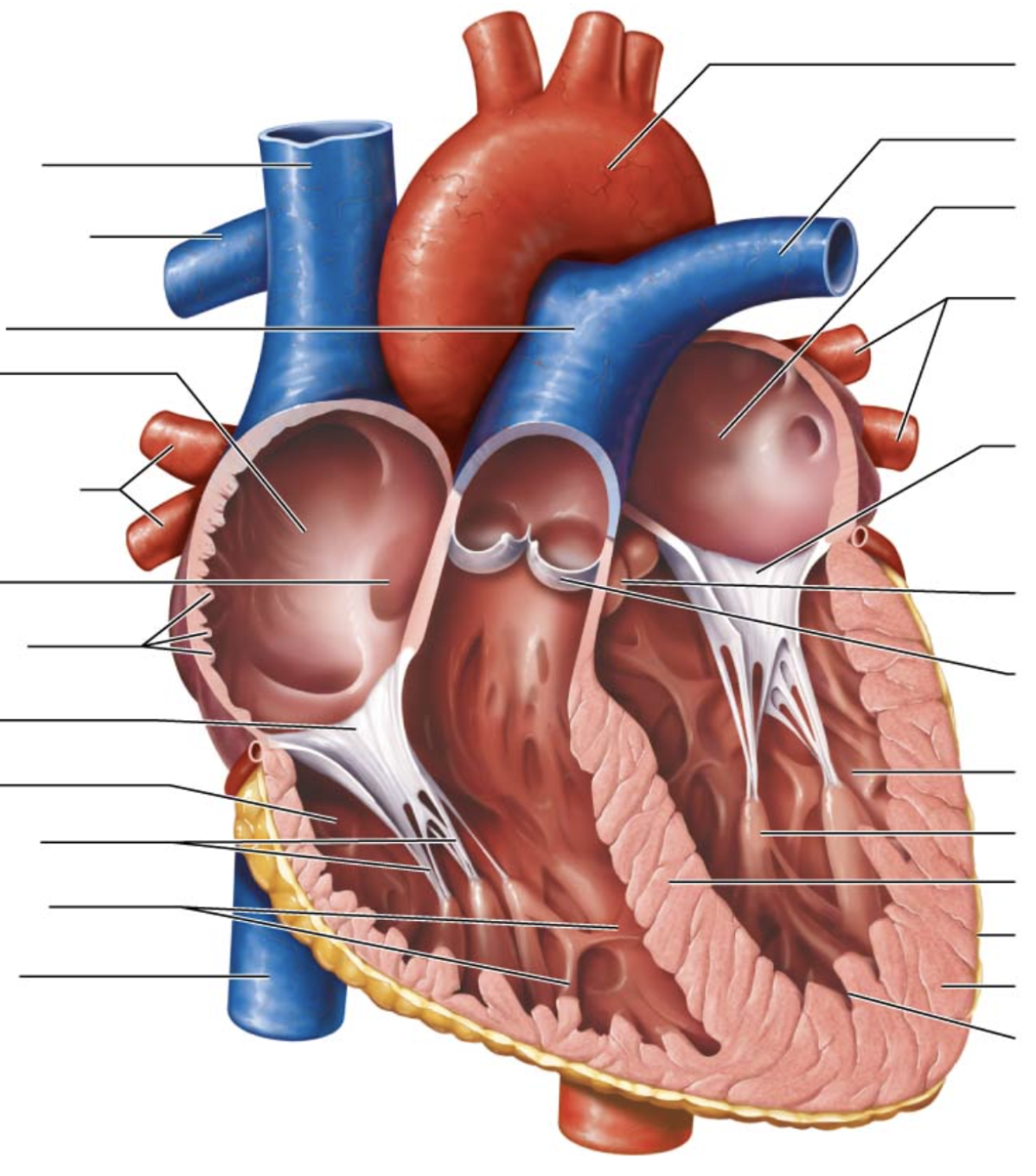 <p>seventh arrow on right</p>