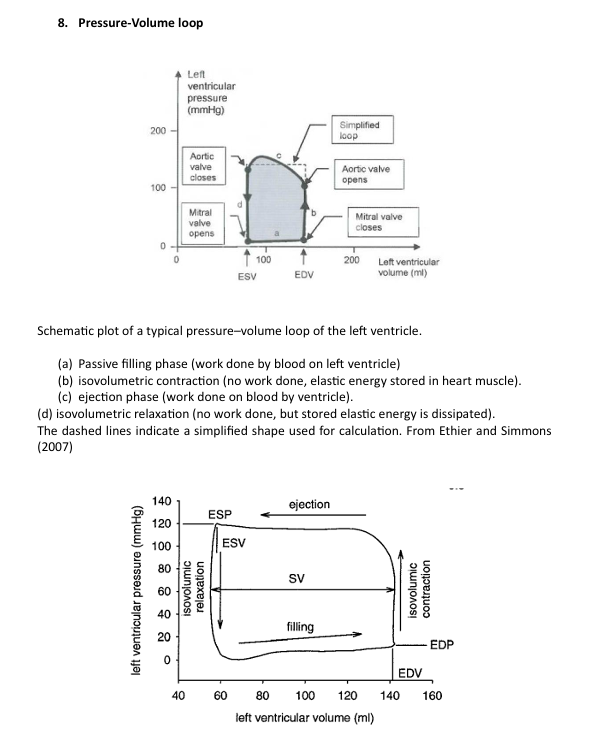 <p>a. Passive filling phase (work done by blood on left ventricle)</p><p>b. isovolumetric contraction (no work done, elastic energy stored in heart muscle)</p><p>c. ejection phase (work done on blood by ventricle)</p><p>d. isovolumetric relaxation (no work done, but stored elastic energy is dissipated)</p>