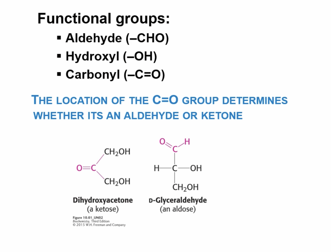 <p>Carbonyl bond on inside = ketose sugar</p><p>Carbonyl bond on terminal end = aldose sugar</p>