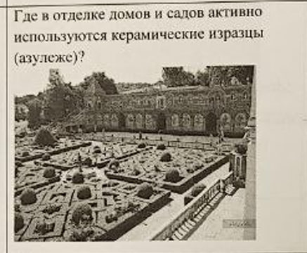 term image