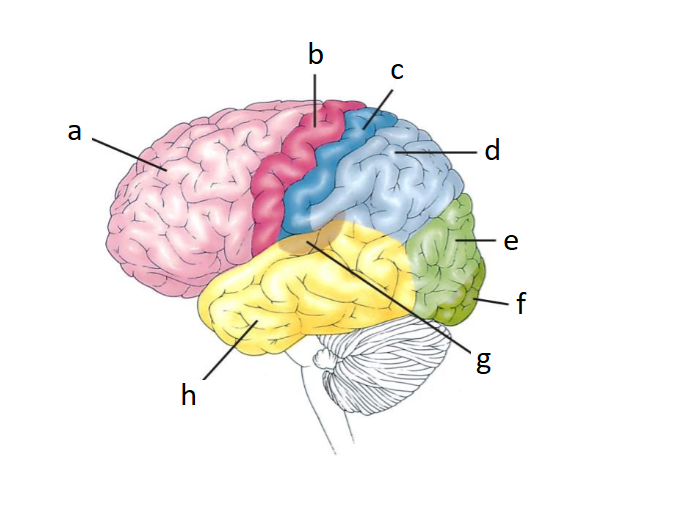 <p>B</p>