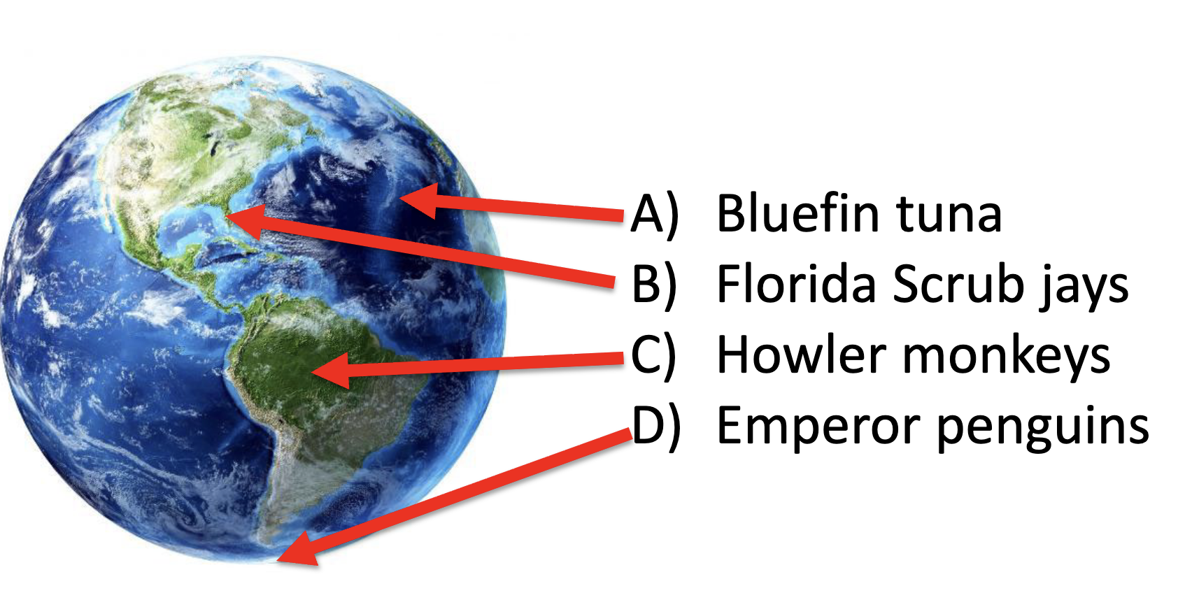 <p>cq: which species do you think it going to have the hardest time shifting its range to stay in the same environment based on where they live?</p>