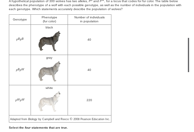 <p>select the four statements that are true</p>