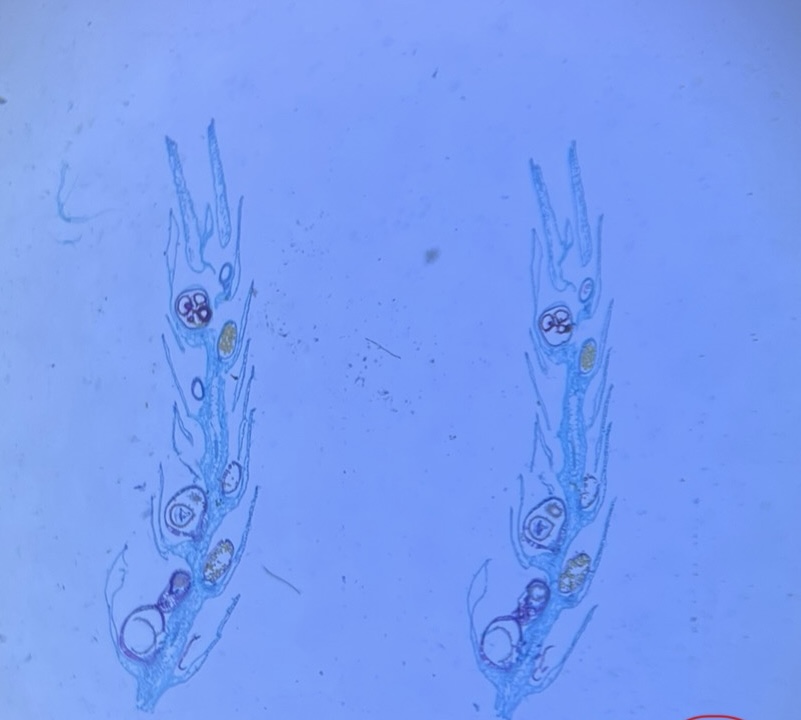 <p>What is this?</p>