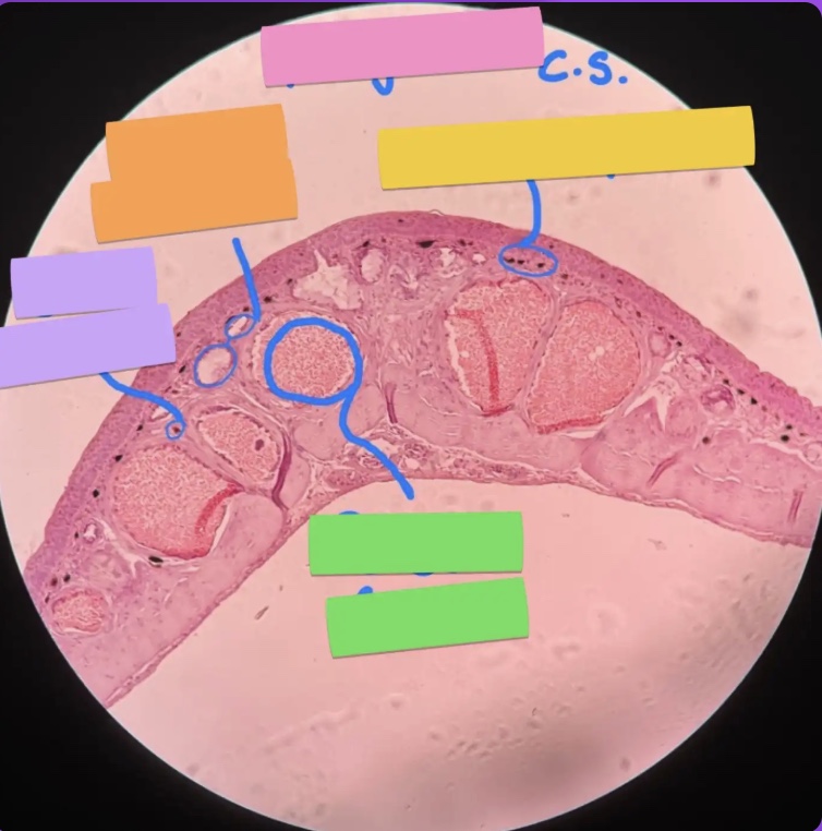 <p>What does the yellow box represent?</p>