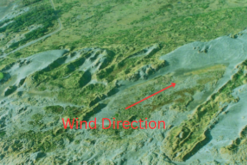 <p>What dune is this?</p>