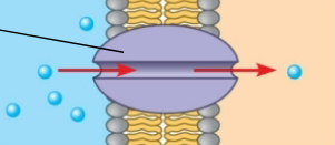 <p>what is this</p>