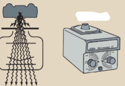 <p>what image is this?</p>