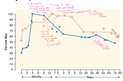 <p>solid blue = # of synapses in visual cortex (how connect they are?)</p><p>dashed orange = # of synapses in prefrontal cortex (brain's central command center for executive functions, personality, and complex decision-making)</p><p>**LOOK AT PHOTO;</p><p>solid blue line;</p><p>4-8 months; infants learning alot; seeing SOO many new things; have to learn depth perception with crawling, then relearn depth perception with walking!</p><p>dashed orange line;</p><p>learning how to communicate; how to negotitate with others (3 years old), around 40 years old = time when alot of people get reading glasses = new depth perception developed?</p>