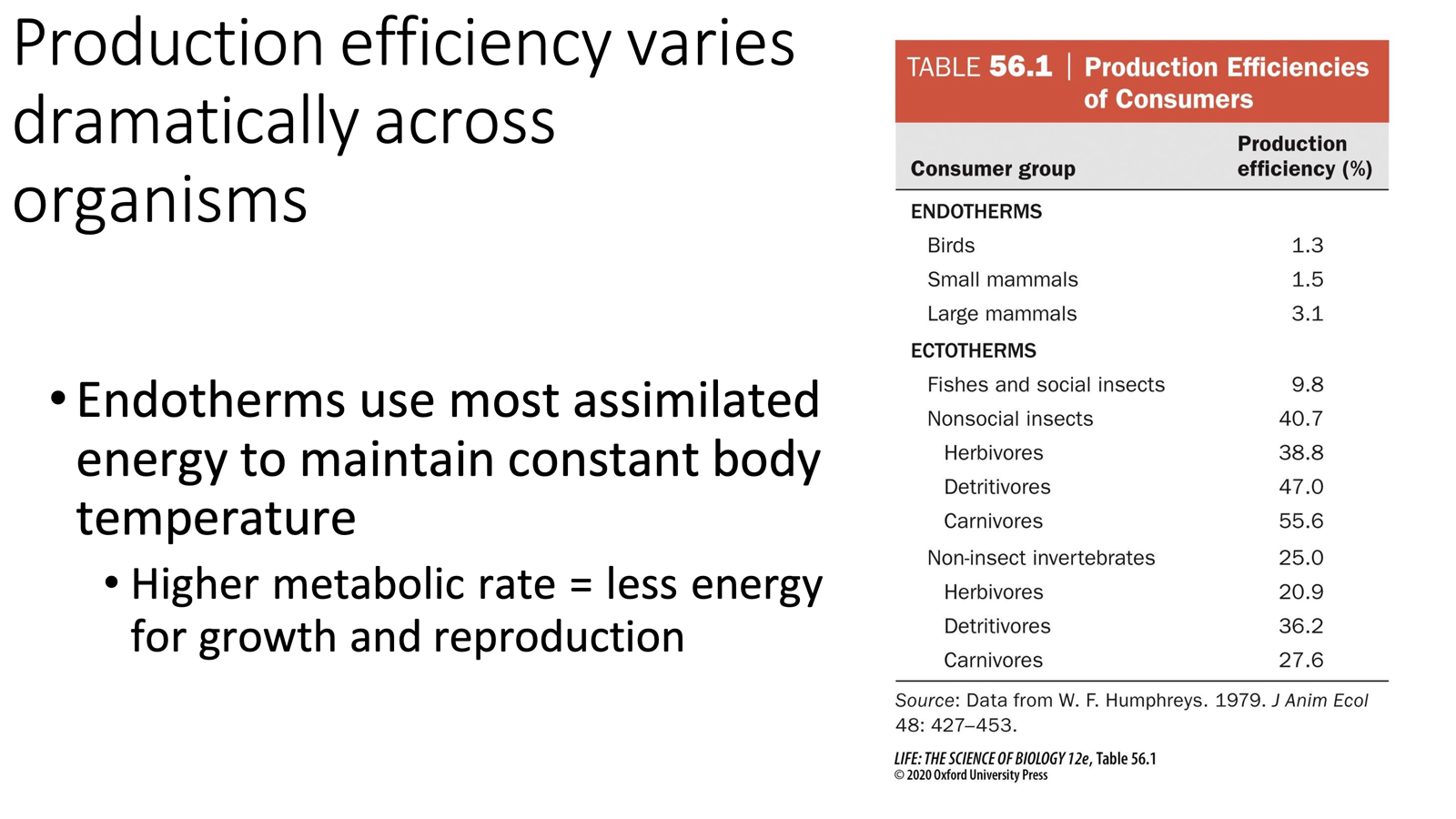 <ul><li><p><strong>Endotherms</strong> (warm-blooded): use most assimilated energy to maintain body temperature → less energy for growth and reproduction → lower production efficiency.</p><ul><li><p><span>Large mammals and endotherms are small because we use a lot of our energy to maintain our body temperature.</span></p></li></ul></li><li><p><strong>Ectotherms</strong> (cold-blooded): more assimilated energy goes to growth → higher production efficiency</p><ul><li><p><span>Other ectotherms are more efficient/ higher because they have much simpler processes or don’t need to use as much of what they assimilate to maintain their body temp</span></p></li></ul></li></ul><p></p>