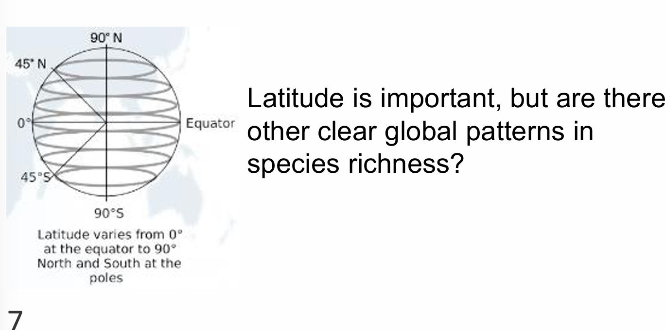 <ul><li><p>global patterns of species richness and composition are influenced by geographic area and isolation, evolutionary history, and global climate </p></li></ul><p></p>