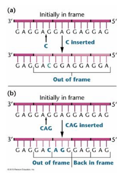 <p>this represents </p>