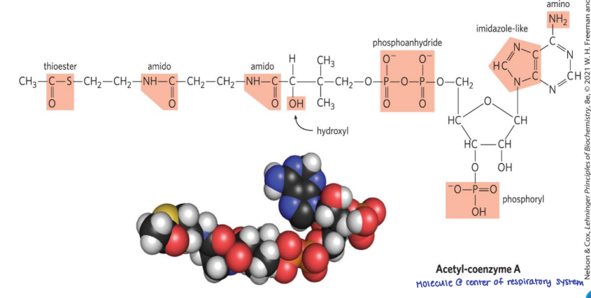 <p><strong>Many Biomolecules are ______</strong></p>