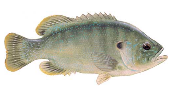 <p></p>