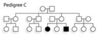 <ul><li><p>Gene is on autosomes, and two copies needed to show the trait</p></li><li><p>Affects males and females equally</p></li><li><p>Can skip generations</p></li><li><p>Parents often unaffected carriers</p></li><li><p>More common with consanguinity</p></li><li><p>Genotypes:</p><ul><li><p>AA → normal</p></li><li><p>Aa → carrier</p></li><li><p>aa → affected</p></li></ul></li></ul><p></p>