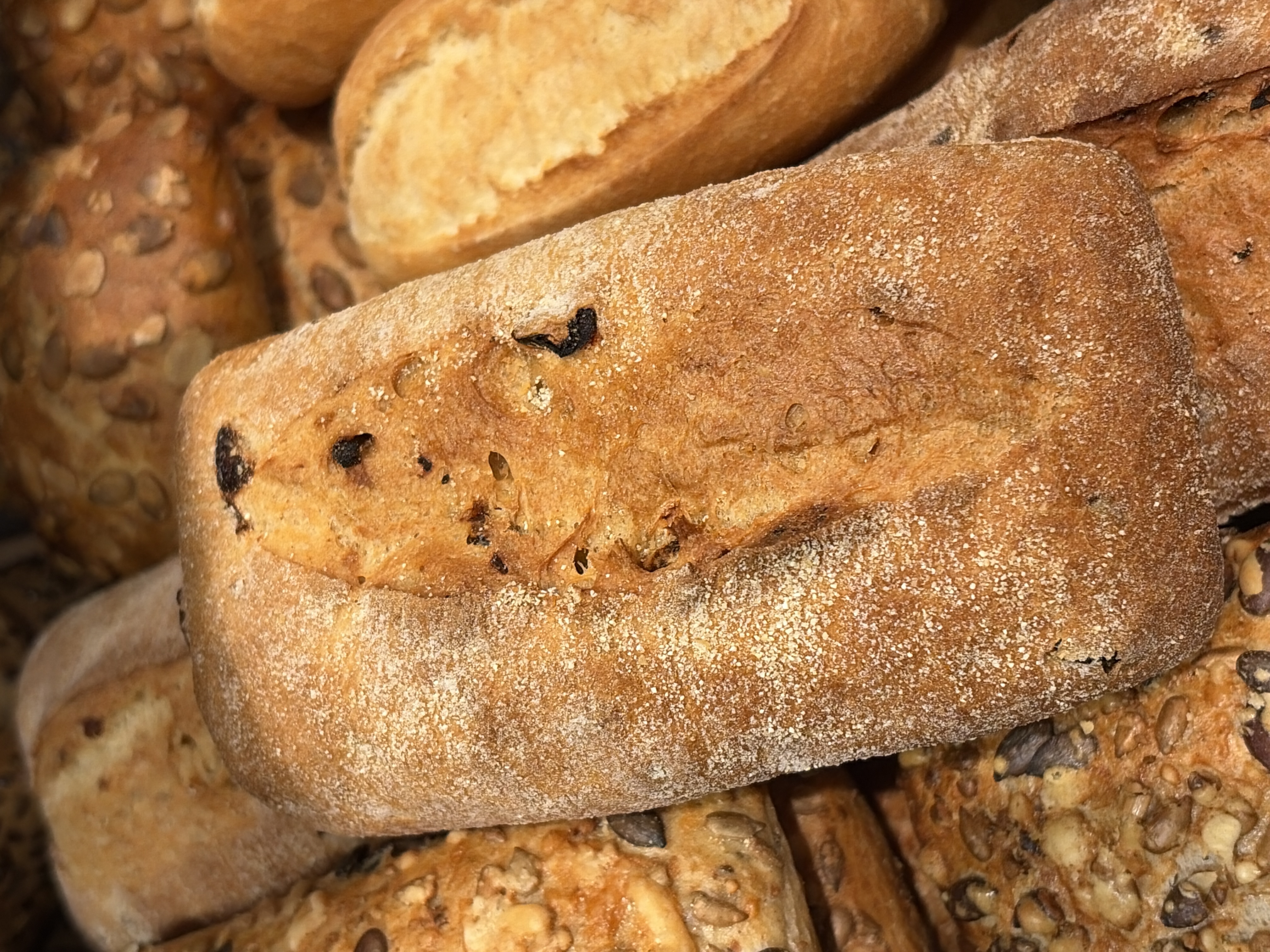 <p>Ciabatta</p>