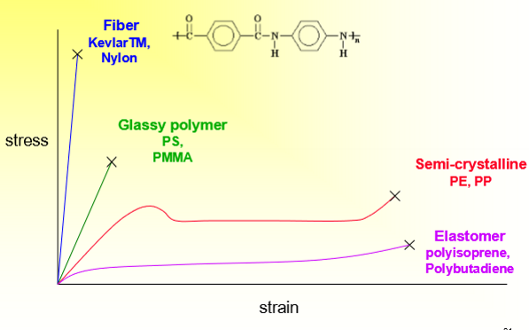 <p>fibers, glassy, semi-crystalline, and estamomer</p>