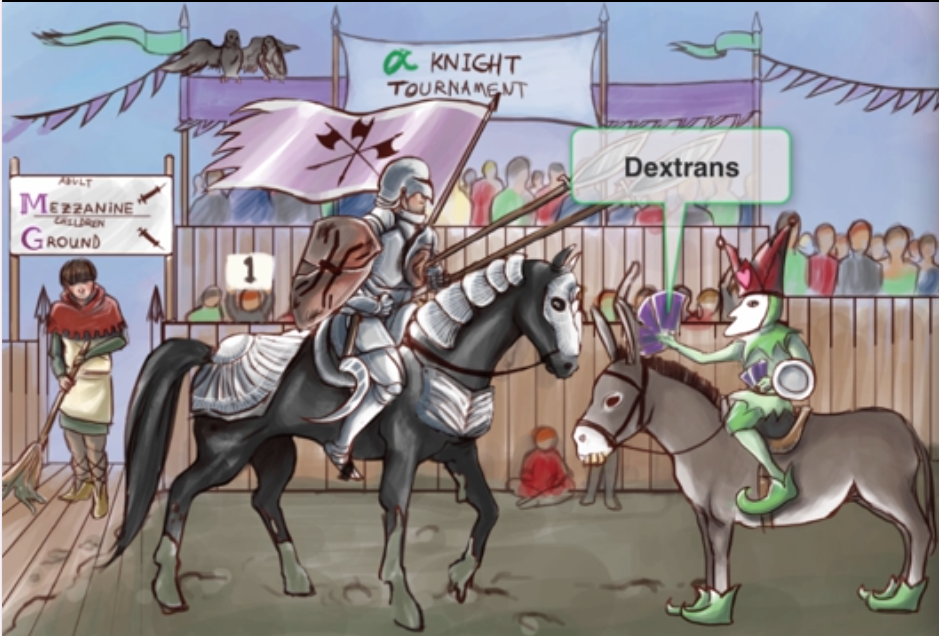 <p>Estreptococo viridans </p>