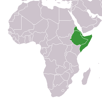 <p>Latitude and longitude of Horn of Africa</p>