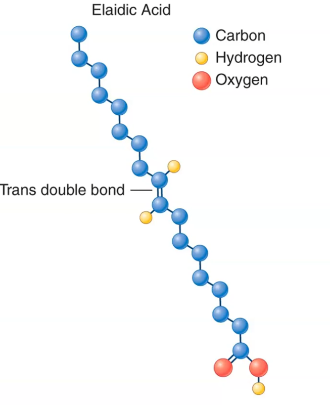<p>When the remaining hydrogen atoms are on opposite sides of the double bond.</p>