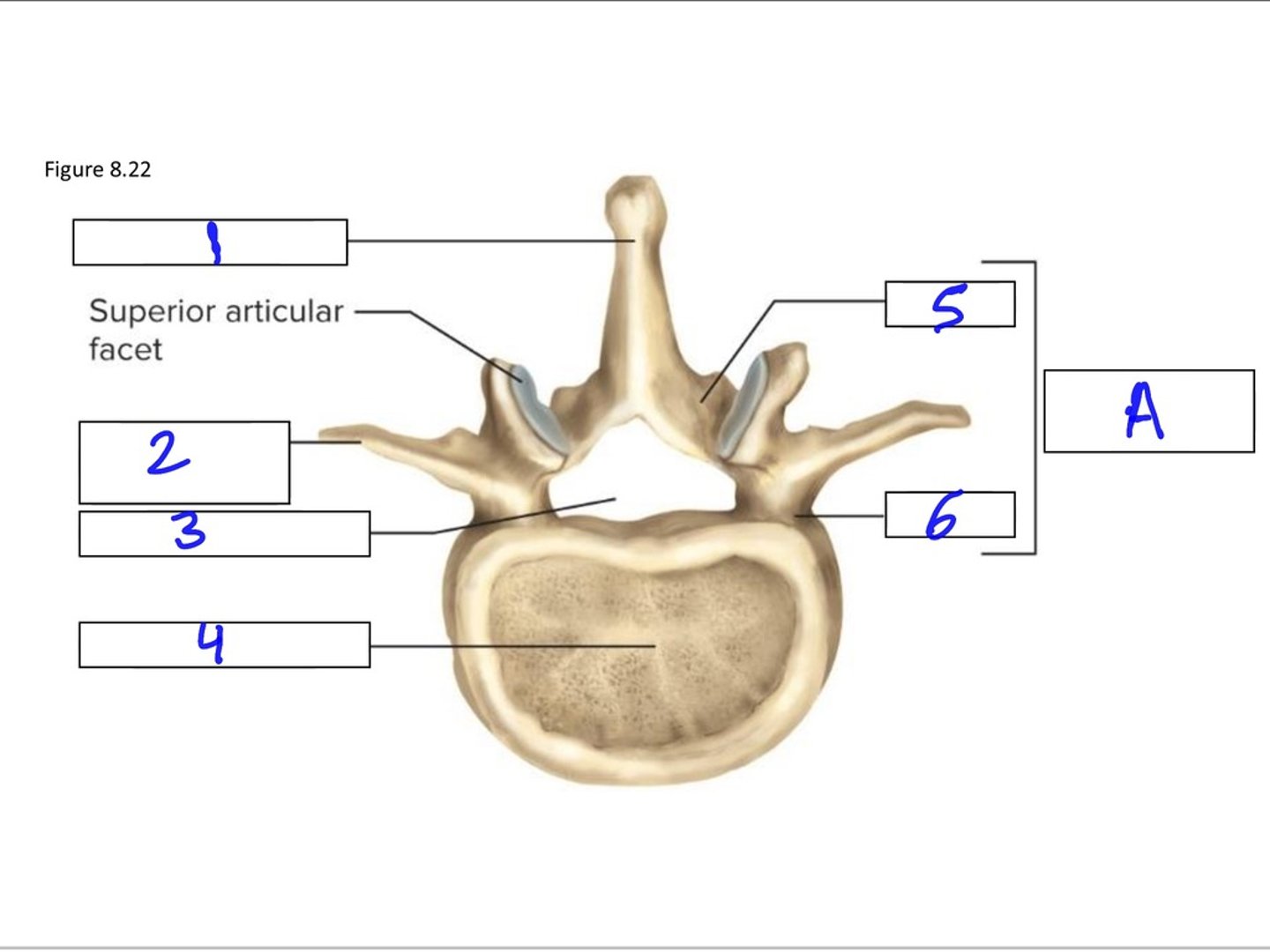 <p>2</p>