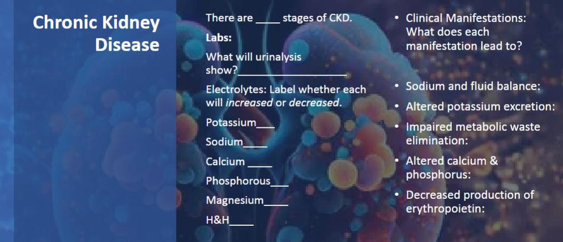 <p>CKD- progressive, irreversible, loss of kidney function</p><p><u>risk factors:</u> diabetes(poor glycemic control causes kidney damage), uncontrolled hypertension (perfusion issue), NSAID use/overuse, nephrotoxic substances, family history?</p><p><u>how does this occur: </u></p><p></p><p>FIVE stages:</p><ol><li><p><span style="background-color: transparent;">GFR >90 mL/min: focus on prevention and risk factor management: control diabetes, htn, lifestyle mods, monitor kidney function</span></p></li><li><p><span style="background-color: transparent;">GFR 60-89 mL/min: focus on slowing progression, montior kidney function q6-12</span></p></li><li><p><span style="background-color: transparent;">GFR 30-59 mL/ min: continue to manage complications: Protein, Na, K restrictions, Monitor anemia, Assess Ca/ K balance, phosphate binders with meals, Monitor for bone disease, Monitor kidney function q3-6m</span></p></li><li><p><span style="background-color: transparent;">GFR 15-29 mL/ min: prepare for kidney replacement therapy, Strict diet: protein 0.6 g/kg, K 60- 70, Na 1-3g, Assess vitamin/ minerals, Monitor fluids, Dialysis education and planning</span></p></li><li><p><span style="background-color: transparent;">GFR <15 mL/ min: ESKD, kidney replacement therapy: Dialysis, Diet restrictions, Monitor dialysis complications, Vascular access care</span></p></li></ol><p><u>clinical manifestations: </u>decreased output, diluted urine, tremors(high magnesium), edema, htn, sob, uremic symtpoms: fatigue, nausea, anorexia, albuminuria</p><p>labs: potassium(increased), sodium(decreased then increased in end stage), magnesium(increased-tremors-can give calcium gluconate), phosphorus(originally increased then decreased); calcium(originally decreased then calcifies and increases), H/H (decreased)</p><p>urinalysis will show: proteinuria, hematuria(tea colored urine), foamy, high WBC</p><ul><li><p>sodium and fluid balance: hypernatremia, edema</p></li><li><p>altered potassium excretion: cardiac dysrhythmias</p></li><li><p>impaired metabolic waste elimination: metabolic acidosis, high</p></li><li><p>altered calcium and phosphorus: decreased calcium and increased phosprous </p></li><li><p>decreased production of erythropoietin: decreased RBC production- anemic(low o2, dizzy, headache, pale, sob)</p></li></ul><p><u>diet:</u> low sodium, low potassium</p><p><u>top priority:</u> avoid NSAIDS, fluid restrictions, avoid processed foods and high sodium foods, check vascular access for bruit and thrill before hemodialysis</p><p>treatment: calcium acetate- high phosphorus, </p>