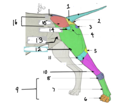 <p>4</p>