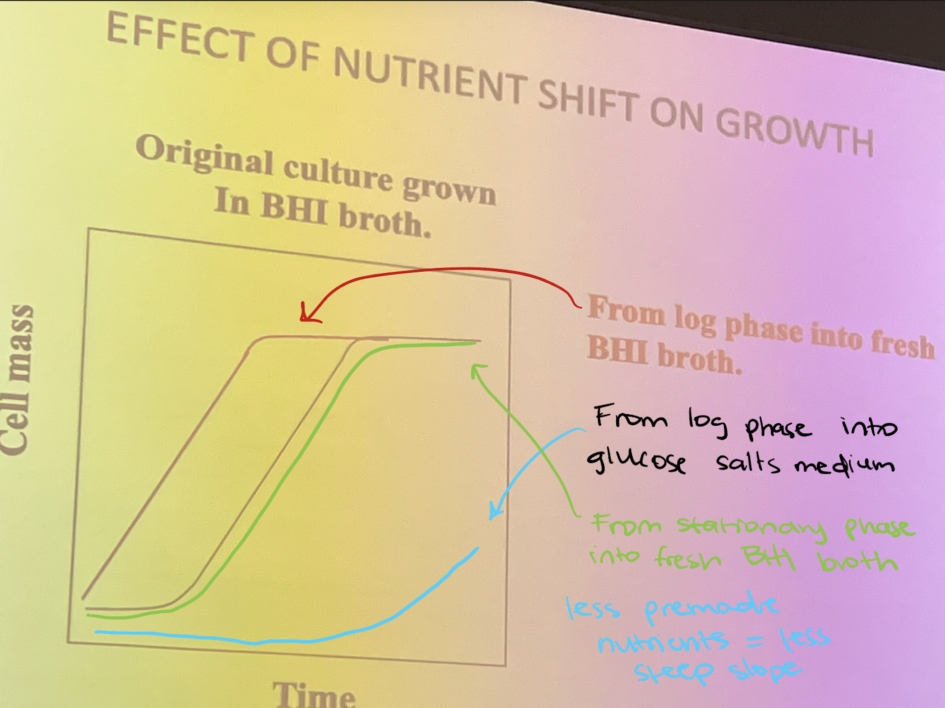 <p>Red Line, From log phase into fresh BHI broth</p>
