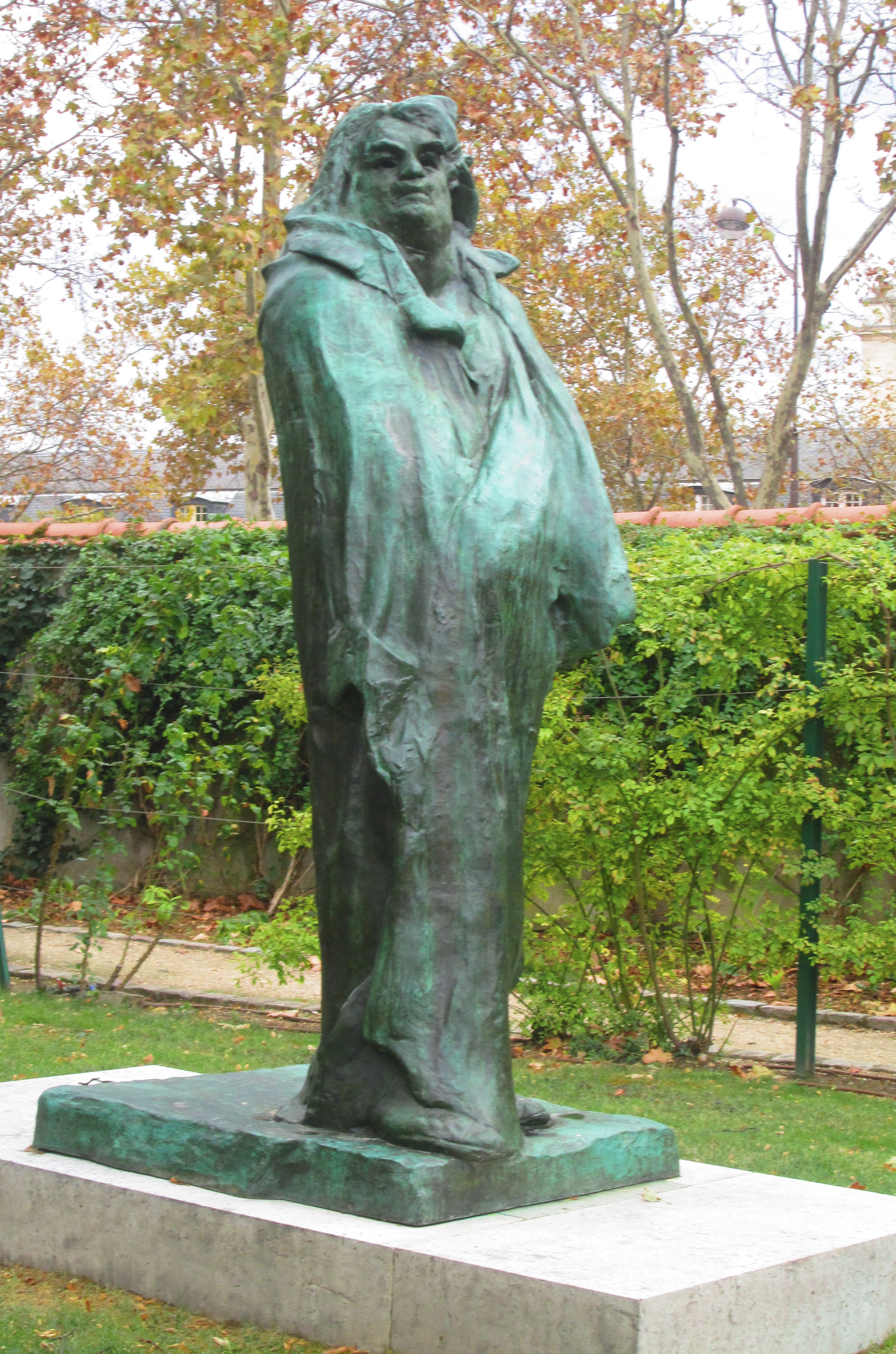 term image