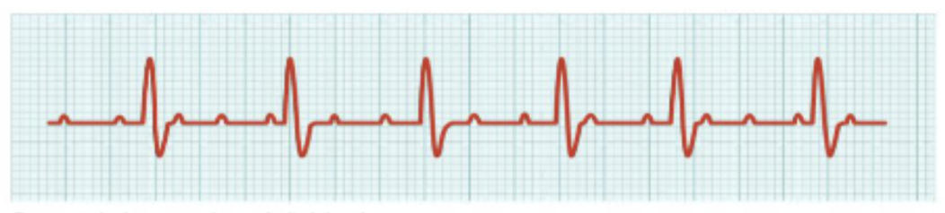 <p>What is this?</p>