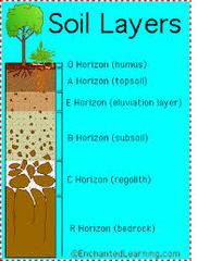 <p>A layer of soil with properties that differ from those of the layer above or below it.</p>