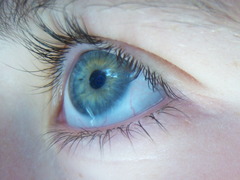 <p>To see</p>