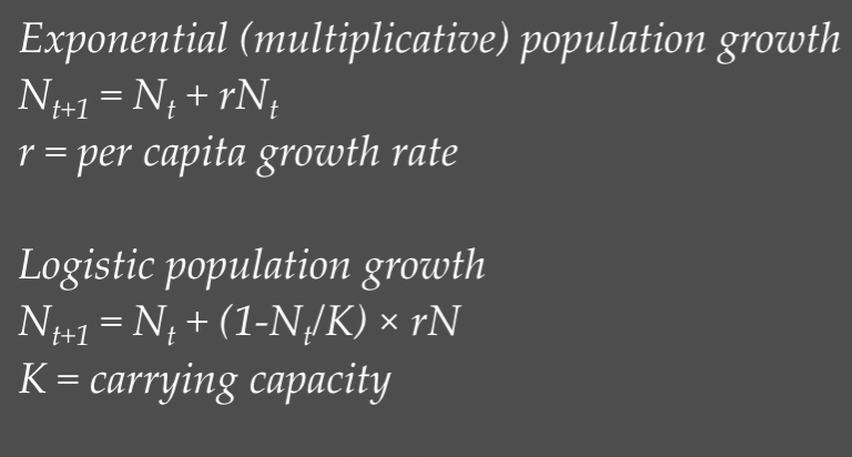 <p>They describe how populations grow ovetime based on resource availability.</p><p>Exponential growth: population size increases rapidly w/out limits when resources are abundant, following a constant growth rate. </p><p>Logistic growth: population growth starts exponentially but slows as resources become limited, eventually leveling off at a carrying capacity (the max population size the environment can sustain).</p>