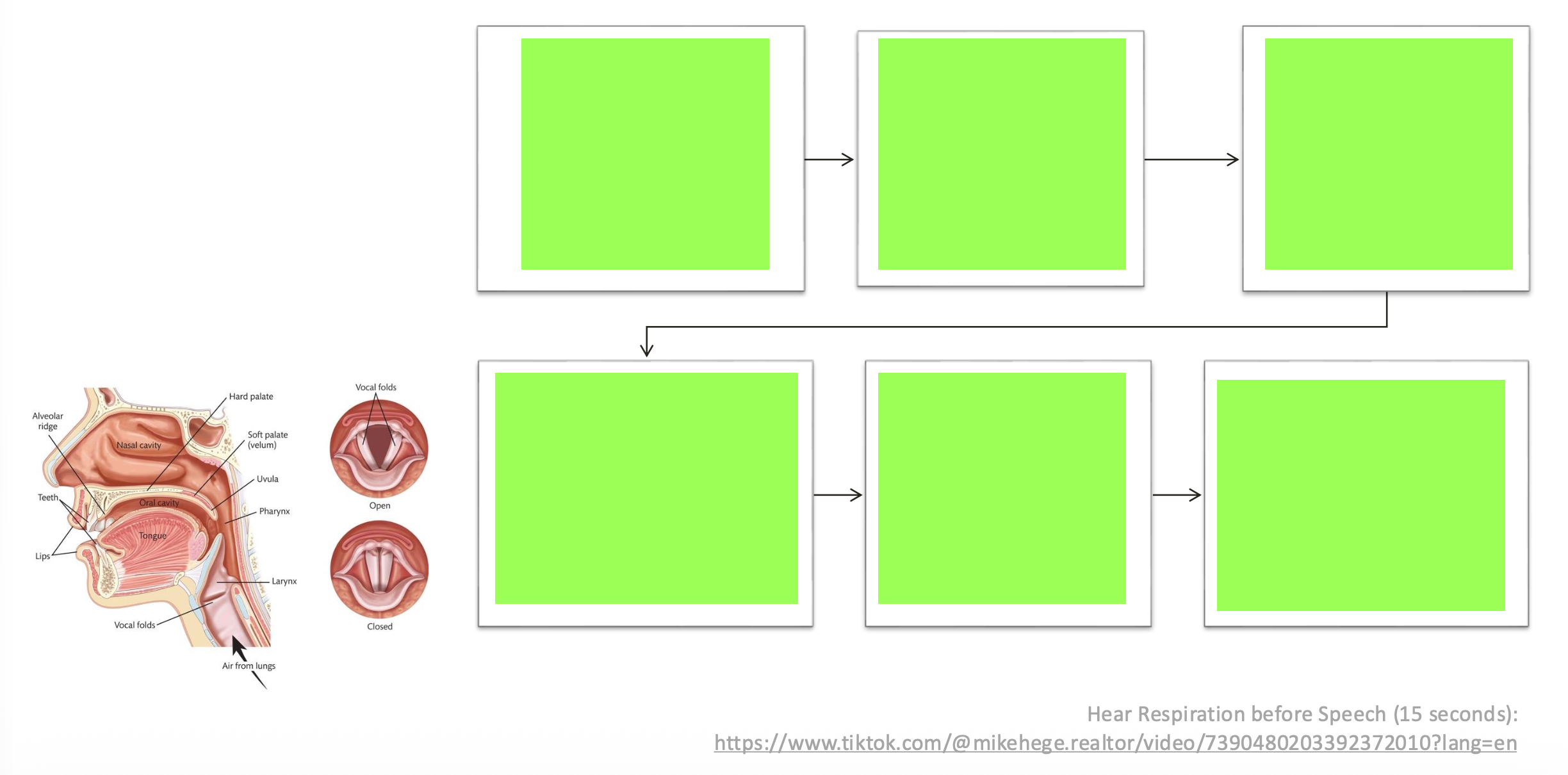 <p><u>Speech Sounds: Phoneme Production</u></p><p class="p2">Across about 5,000 spoken languages, over __ are produced –most using this process.</p>