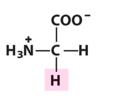 <p>Nonpolar, aliphatic</p>