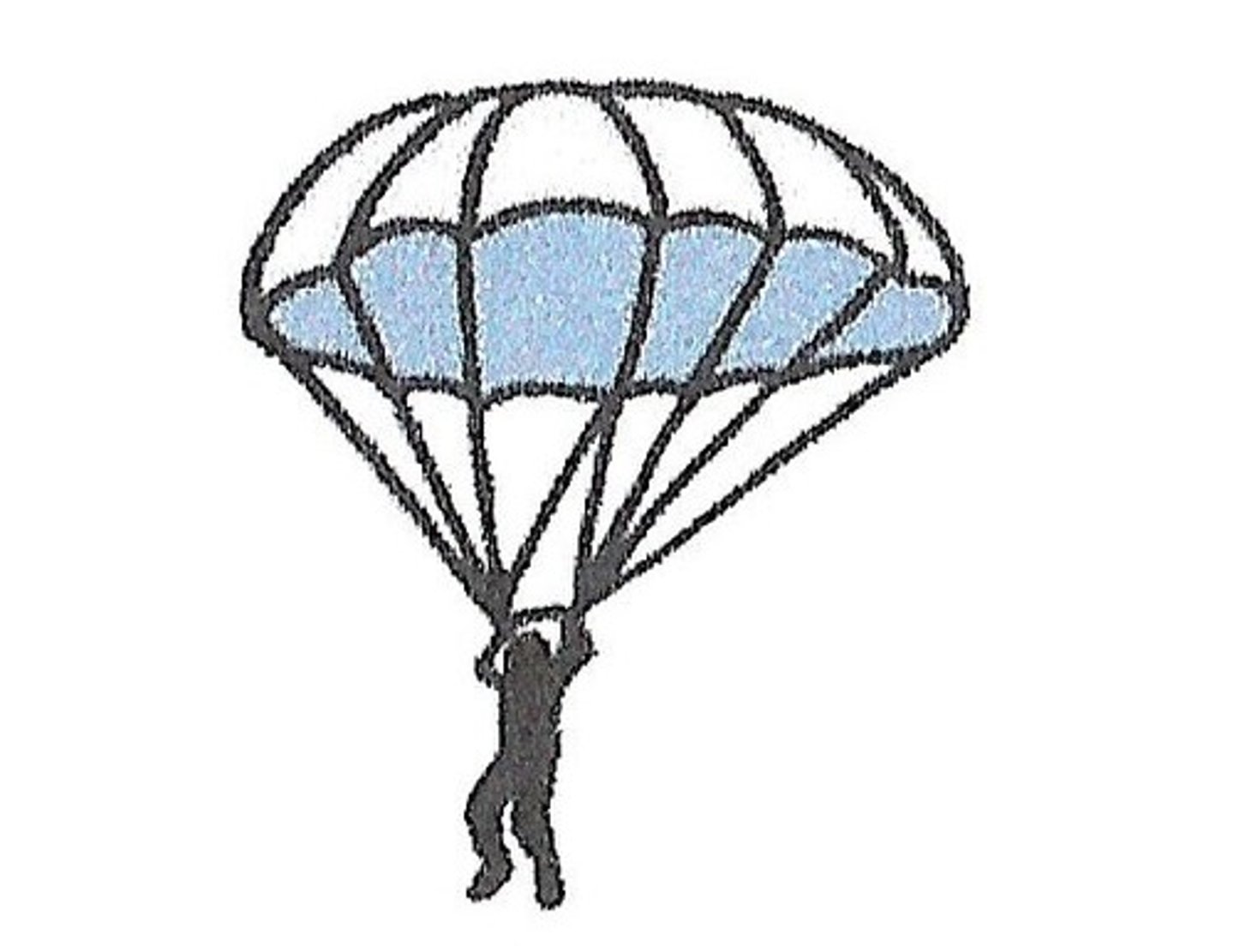 <p>to skydive, I have been skydiving</p>