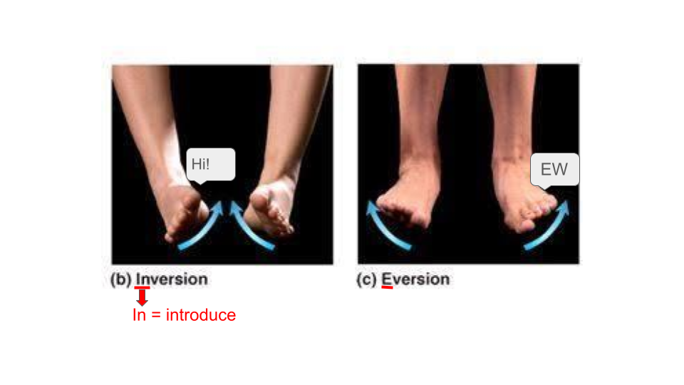 <p>where the soles of your feet face the sides (imagine the soles of your feet are saying ‘ew’ and facing the other way, idk bro)<br><br>appreciate the image. it took me a while to do.</p>