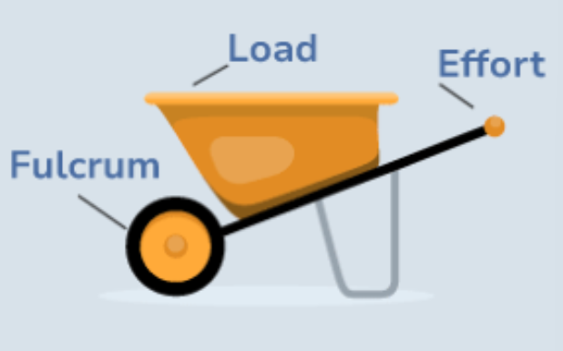<p>2nd class lever (wheel barrow)</p>