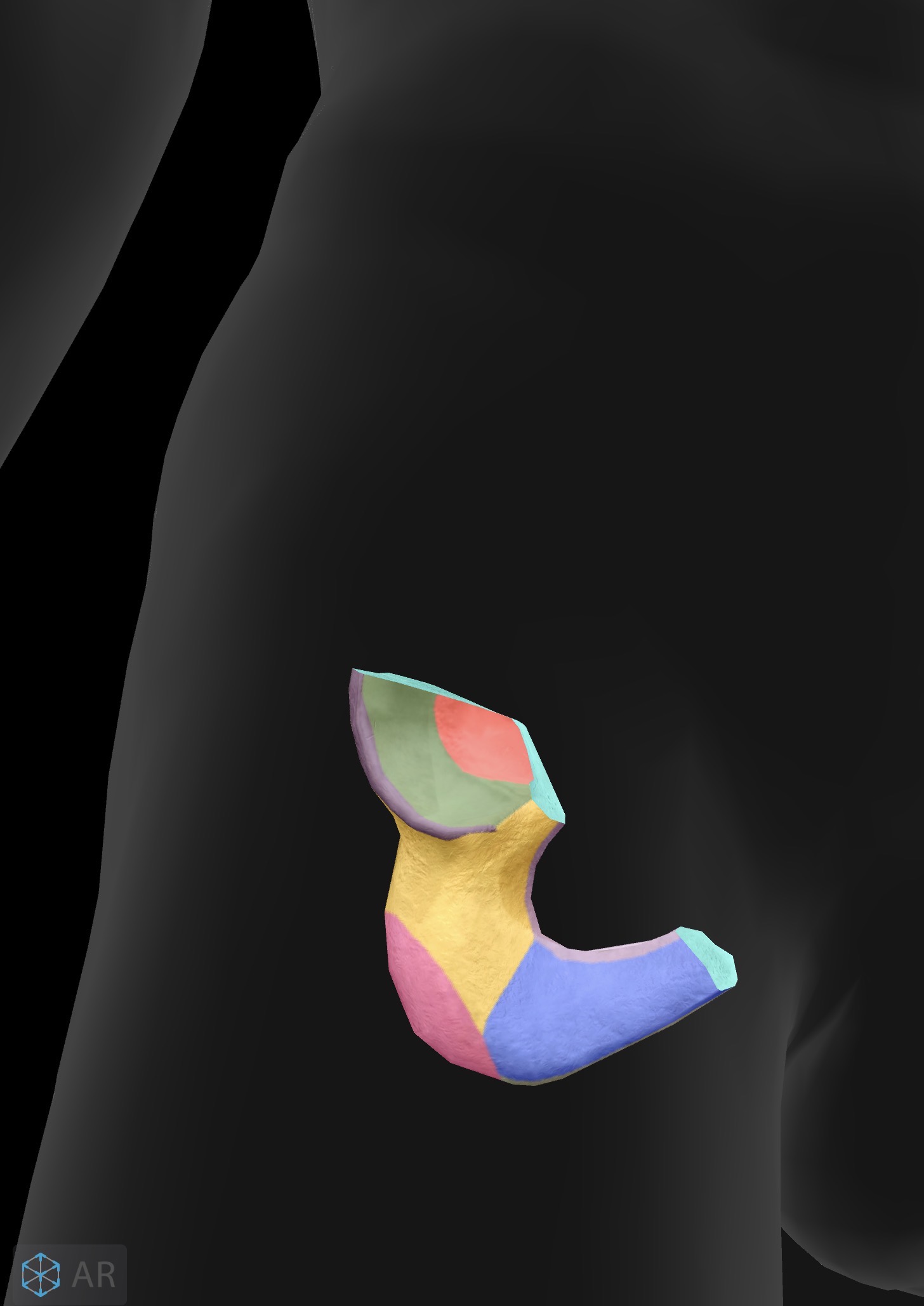 term image