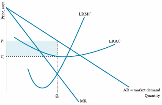 <p>> Monopolist supply (industry supply) = MC </p><p>> Industry demand = monopolist demand</p><p>> Profit maximisation: MR = MC</p>