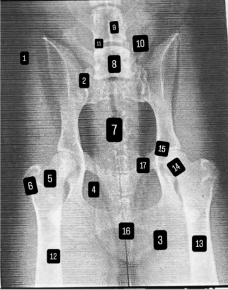 <p>podaj numerki od 1-17</p>