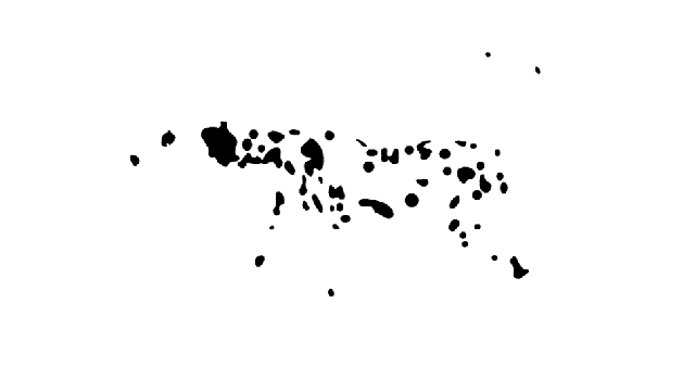 <p>We typically group together stimuli that share similar patterns of movement</p>