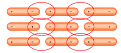 <p>forces between polar molecules (partially charged)- opposite poles match up by electrostatic attraction</p>