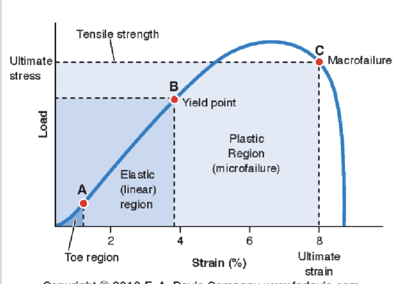 <ul><li><p>Describes material properties/qualities of tissue</p></li><li><p>curve changes based on <strong>speed</strong> of load, injury/immobilization, and tissue type </p></li></ul><p></p>