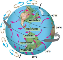 <p>result from the combined effects of rising and falling air masses (blue/brown) and Earth’s rotation (gray).</p>