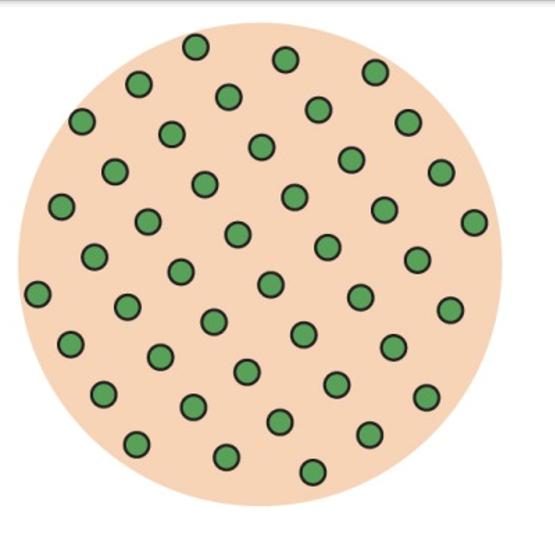 <p>Individuals are evenly spaced, often due to competition or territorial behavior</p>