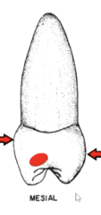 <p>is not</p>
