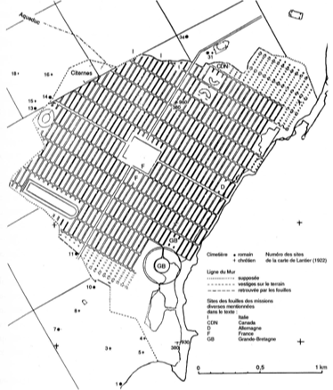 term image